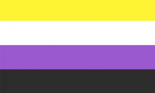 Non Binary Flag