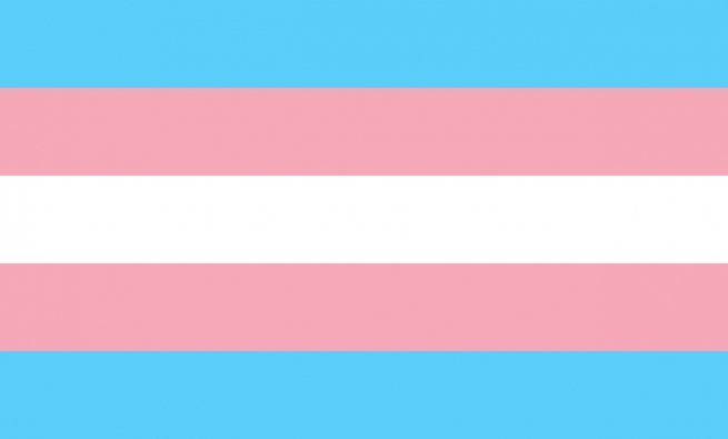 Transgender Flag